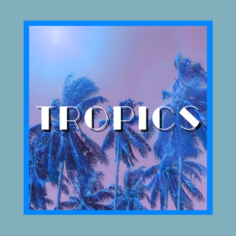 Tropics Pack (FLORIDA) 17 Beats